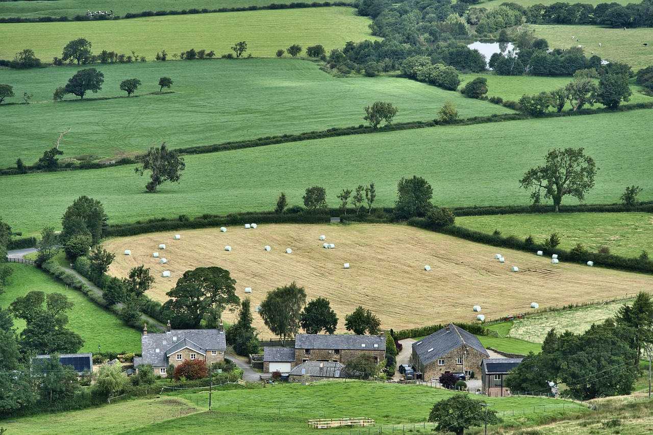 Commercial Farmland Commercial Farmland