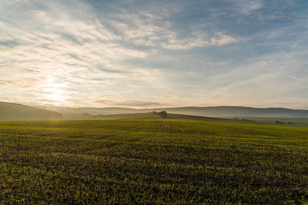 Subsistence Farmland Subsistence Farmland