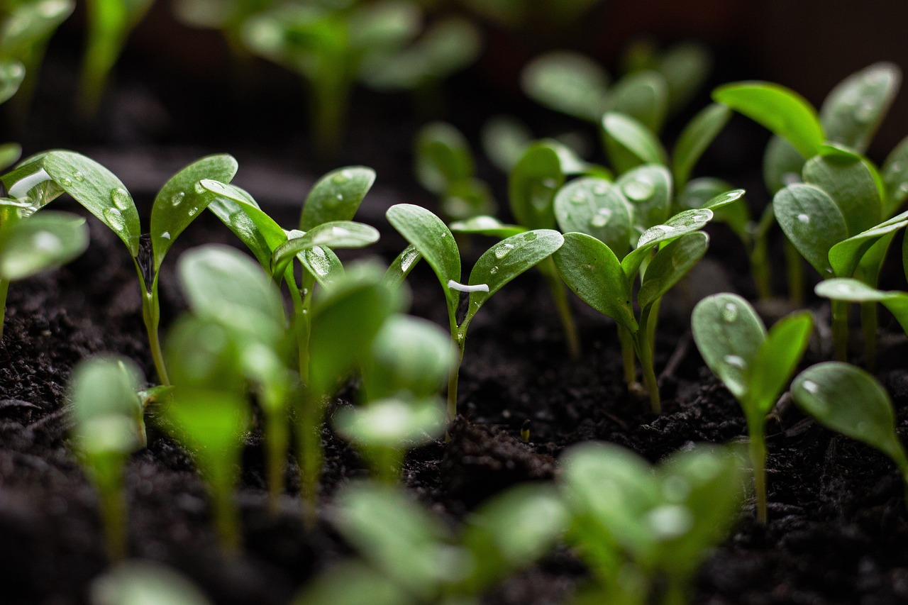 Green Economy Partner Image
