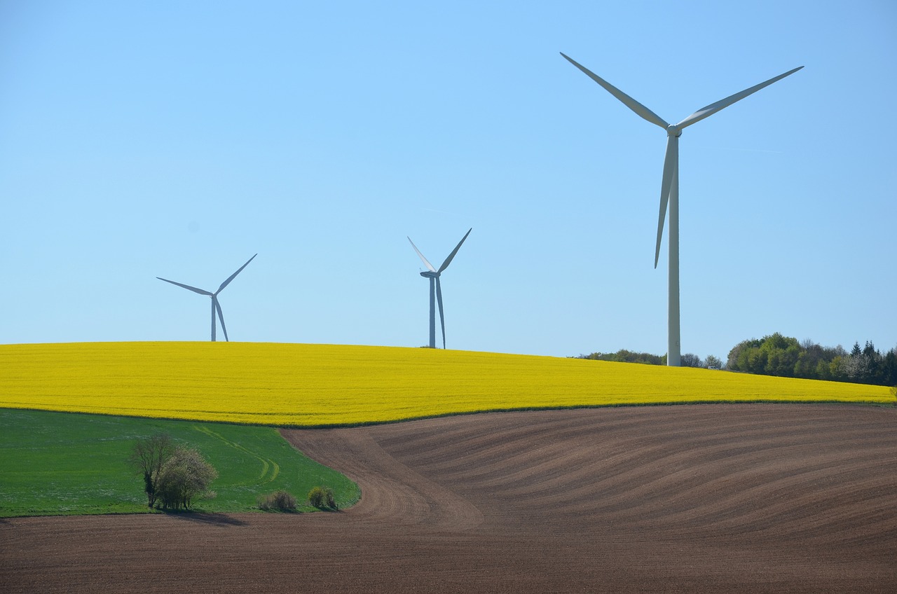 Wind Farm